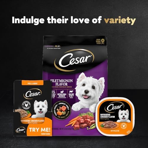 Cesar Filets in Gravy Wet Dog Food Filet Mignon Flavor and Rotisserie Chicken Flavor Variety Pack, 1.76 oz. Mini-Pouches (20 Count, Pack of 2)