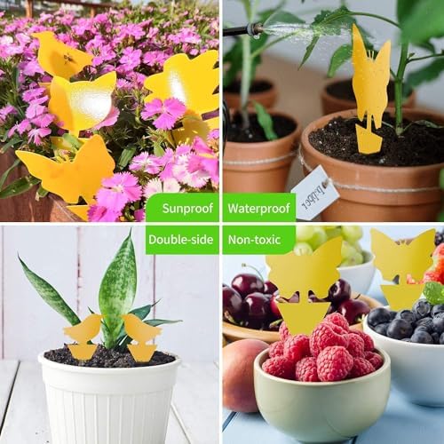 100 Pcs Sticky Trapz for gnat, Yellow Stick Traps for Plants, Fungus gnat Traps Double Side with Shovel, Indoor Safe for Gnat, Fruit Fly, White Fly, Aphid, Leaf Miner