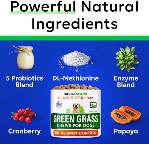 BARK&SPARK Green Grass Chews - Pee Grass Spot Saver Caused by Dog Urine - Urine Neutralizer for Lawn, Gut Health Probiotics & Digestive Enzymes,Lawn Burn from Dog Urine, Grass Burn Spot Chews, Rocks
