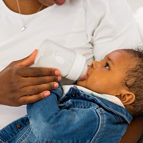 Evenflo Feeding Piece of 6 Balance Plus Wide Neck Nipples for The Balance Plus Wide Neck Baby Bottles, 0 Months and Up