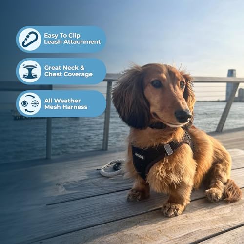 Voyager Step-In Air Dog Harness - All Weather Mesh, Reflective, No Pull Harness for Small, Medium Dogs, Cats - Secure with Hook & Loop Fastener, Buckle, Double D-Rings - Black/Black Trim, XS