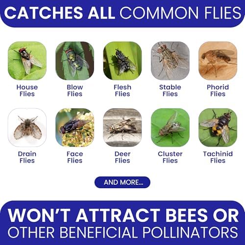 2 Fly Traps Outdoor Fly Trap for Patio with 4 Non-Toxic Dissolvable Bait Refills. Reusable Hanging Bug Catcher Killer for All Filth Flies for Outside Bug Control Yard Ranch. Hanging Chains Included