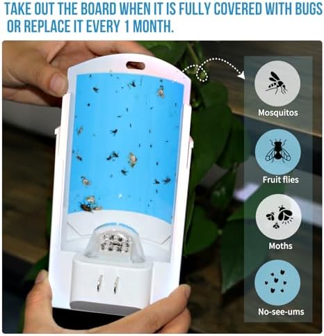 2 Flying Insect Traps & 8 Cartridges - Plug in Fruit Fly Trap for Indoor - Bug Catcher for Gnats, House & Fruit Flies - Mess-Free with Blue & UV Light (2 x Devices & 8 x Refills)