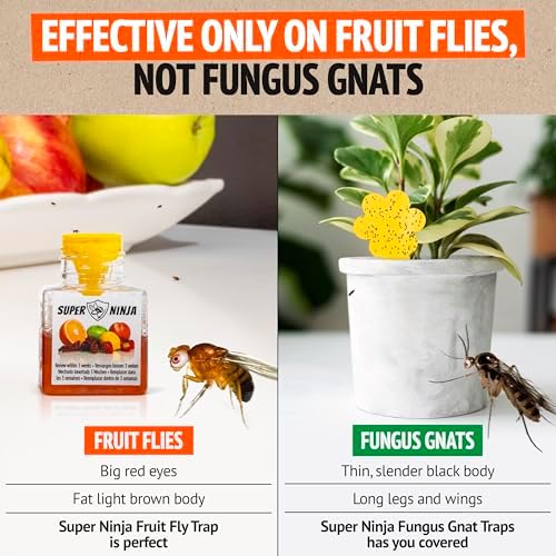 Super Ninja Fruit Fly Traps for Indoors - 4 Pack, Highly Effective Fruit Fly Catcher for Indoor Use for Home & Kitchen, Up to 3 Weeks of Performance per Bottle, Kid & Pet Friendly