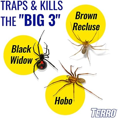TERRO T3206SR Non-Toxic Indoor Spider, Ant, Cockroach, Centipede, and Crawling Insect Trap - 12 Traps