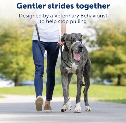 PetSafe Gentle Leader No-Pull Dog Headcollar - The Ultimate Solution to Pulling - Redirects Your Dog's Pulling for Easier Walks - Helps You Regain Control - Large, Charcoal