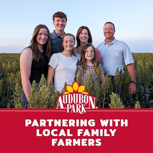 Audubon Park Cardinal Wild Bird Seed - 8 lb. No Corn, Milo, or Millet – Sunflower & Safflower Mix – Bird Food for Outside Feeders