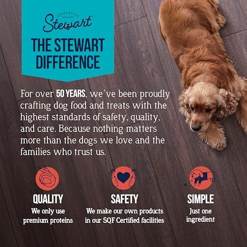 Stewart Single Ingredient Freeze Dried Raw Dog Treats, Beef Liver, 21 Ounce Value Size, Approx. 475 Pieces per Resealable Tub, Training Treats or Meal Topper, High Protein, Grain Free, Gluten Free