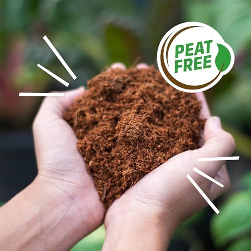 Back to the Roots Organic Coir, 51 Quart Expanding Soil, Great for Seeds and Potting