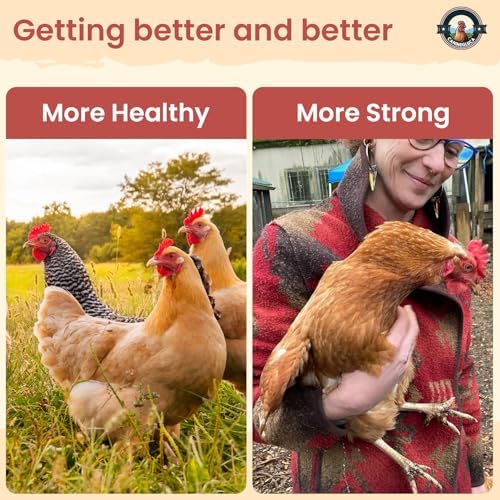 Chicken Dewormer Powder, All-Natural Health Formula, 1LB Pouch, US-Made,Safe for Eggs, Effective for All Ages & Sizes, Chicken Wormer, Poultry Medicine Supplies, Prevents and Relieves Worm