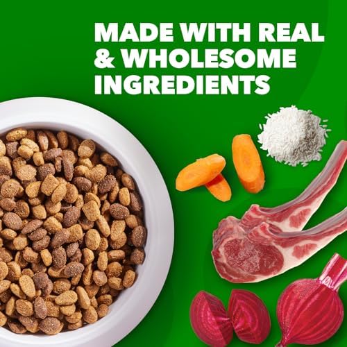 IAMS Proactive Health Minichunks Adult Dry Dog Food with Lamb & Rice, 30 lb. Bag