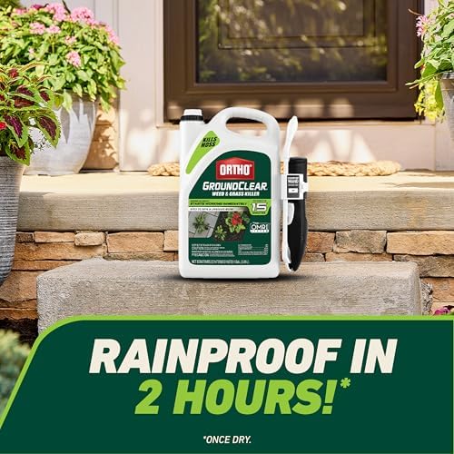 Ortho GroundClear Weed and Grass Killer with Comfort Wand, Kills Dandelions, Chickweed, Crabgrass, Moss and More in Patios and Landscapes, OMRI Listed, 1 gal.