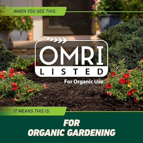 Ortho GroundClear Weed and Grass Killer with Comfort Wand, Kills Dandelions, Chickweed, Crabgrass, Moss and More in Patios and Landscapes, OMRI Listed, 1 gal.