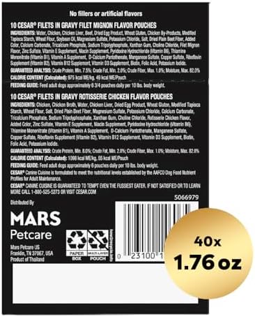 Cesar Filets in Gravy Wet Dog Food Filet Mignon Flavor and Rotisserie Chicken Flavor Variety Pack, 1.76 oz. Mini-Pouches (20 Count, Pack of 2)