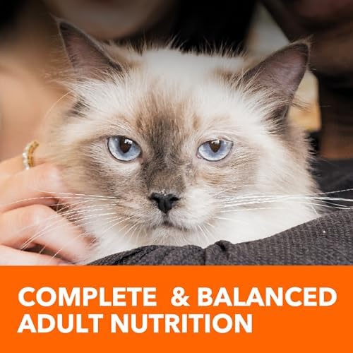 IAMS Proactive Health Adult Hairball Care Dry Cat Food with Chicken and Salmon, 7 lb. Bag