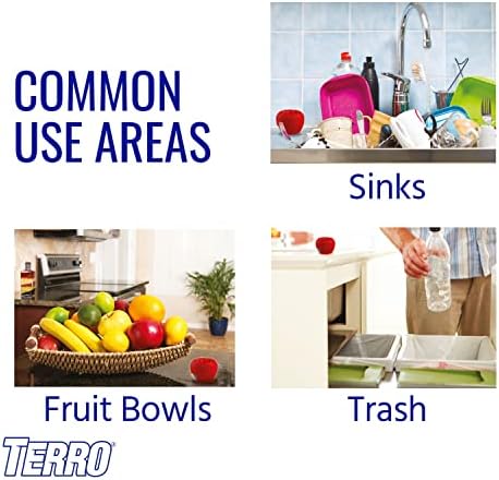 Terro Fruit Fly Traps for Indoors (4 Pack) + 180 Days of Lure Supply