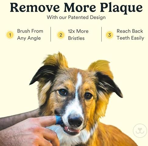 Jasper Dog Toothbrush, 360 Dog Tooth Brushing Kit, Finger Toothbrush, Cat Tooth Brush, Teeth Cleaning, Pet Tooth Brush for Small & Large Pets, Pet Toothpaste Not Included, 2-Pack Blue