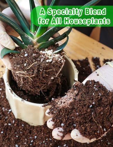 TOYPOPOR Potting Soil for All Indoor Houseplants, (3qt) Contains Perlite, Peat Moss, Coco Coir and Rice Charcoal, Well Draining Potting Mix Light, Aerated Texture for Healthy Plant Roots, Fast Growth