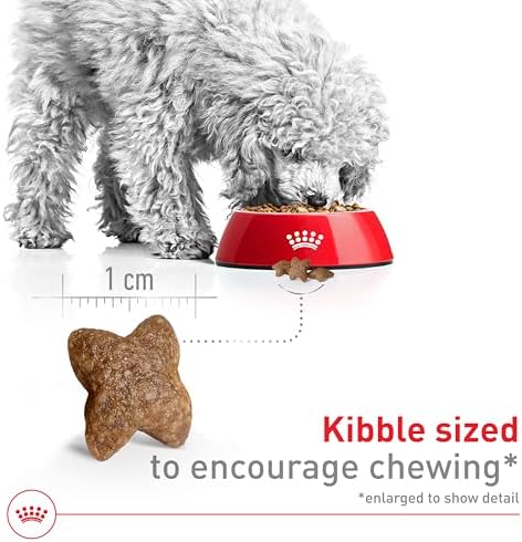 Royal Canin Size Health Nutrition Small Adult Dry Dog Food, 14 lb bag