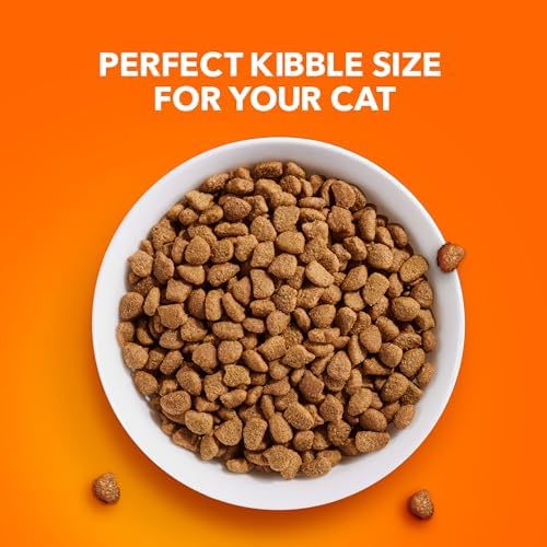 IAMS Proactive Health Adult Hairball Care Dry Cat Food with Chicken and Salmon, 7 lb. Bag