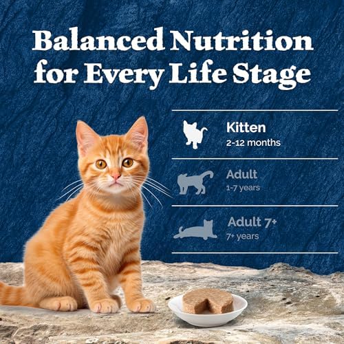 Blue Buffalo Wilderness High-Protein Grain-Free Wet Kitten Food, Chicken Paté Recipe, 3-oz Cans, 24-Count
