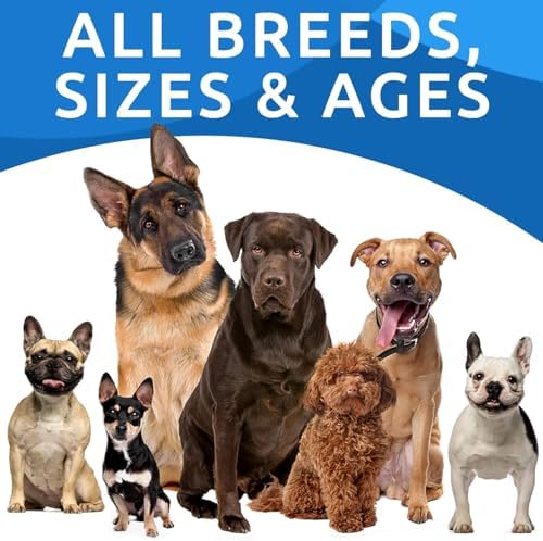 BARK&SPARK Dog Allergy Relief Chews - Anti-Itch Skin & Coat Supplement - Omega 3 Fish Oil - Itchy Skin Relief Treatment Pills - Itching&Paw Licking - Dry Skin&Hot Spots - (120 Immune Treats - Chicken)