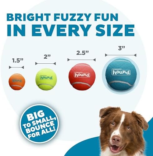 Outward Hound Squeaker Ballz, Interactive Dog Toy, Squeaky Tennis Ball, Durable Dog Toy for Fetch, Multi-Pack of 4, Large