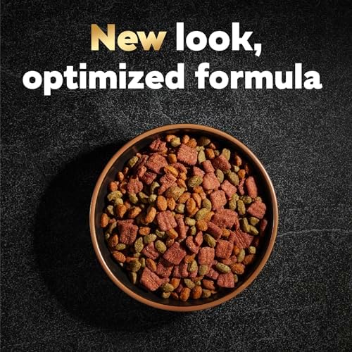 Cesar Small Breed Dry Dog Food Filet Mignon Flavor and Spring Vegetables Garnish, 12 lb. Bag