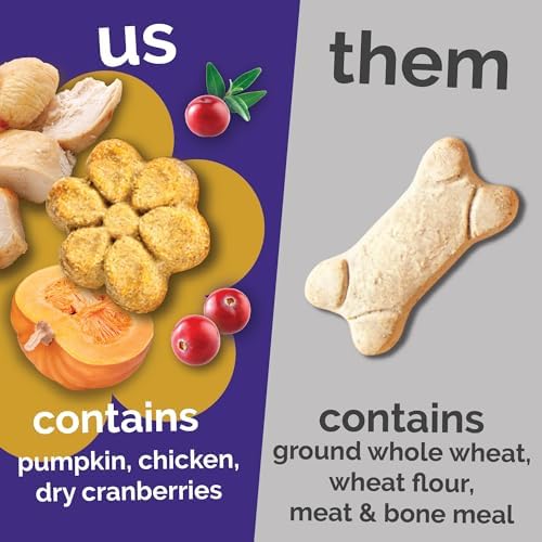Fruitables Baked Dog Treats, Healthy Pumpkin Treat for Dogs, Low Calorie & Delicious, Free of Wheat, Corn and Soy, Made in The USA, Chicken and Cranberry Flavor, 20 oz