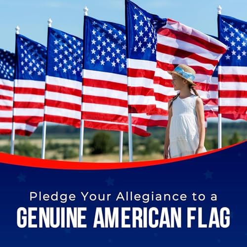 American Flag | American Flags for Outside 3X5 |100% Made in USA Flag - Premium US Flag 3X5 Heavy Duty Outdoor with Embroidered Stars and Sewn Stripes.