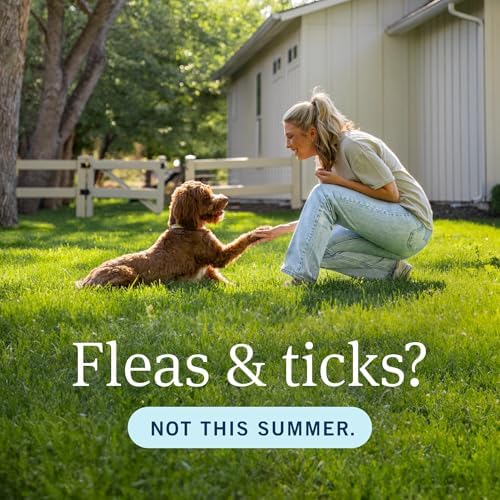 PetArmor Plus Flea and Tick Prevention for Dogs, Dog Flea and Tick Treatment, 6 Doses, Waterproof Topical, Fast Acting, Large Dogs Dogs (45-88 lbs)