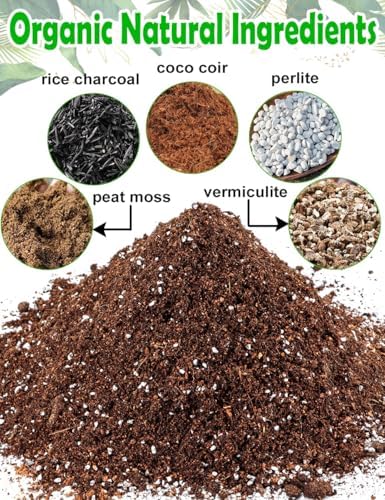 TOYPOPOR Potting Soil for All Indoor Houseplants, (3qt) Contains Perlite, Peat Moss, Coco Coir and Rice Charcoal, Well Draining Potting Mix Light, Aerated Texture for Healthy Plant Roots, Fast Growth