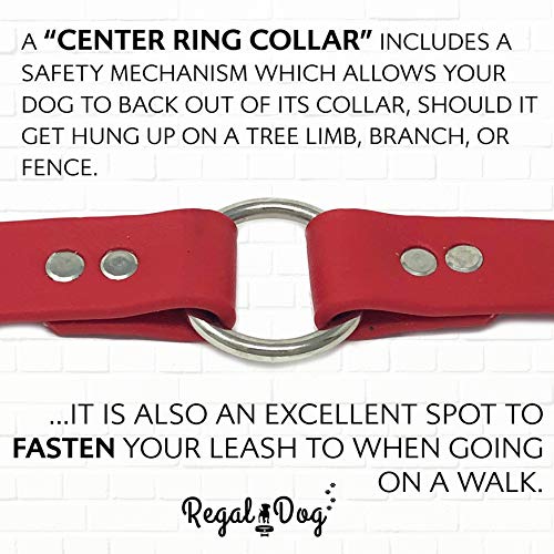 Regal Dog Products Small Red with Custom Engraved Waterproof Dog Collar and Leash Set | Waterproof Dog Collar with D Ring | Center Ring & 5'ft Leash | Matching Dog Collar and Leash for Dogs