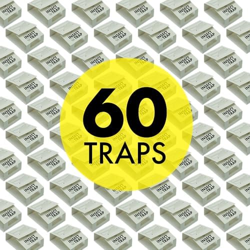 S&T INC. Insect Traps, 60 Count, Glue Traps for Brown Recluse, Hobo Spiders, Black Widows, Use in Home, Basement or Garage, or Utility Rooms for Pest Control