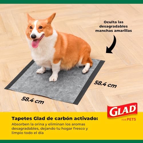 Glad for Pets Black Charcoal Puppy Pads, 23"x23" Disposable Pee Pad That Absorbs & Neutralizes Urine Instantly, Activated Carbon Training Pads For Dogs - 100 Count