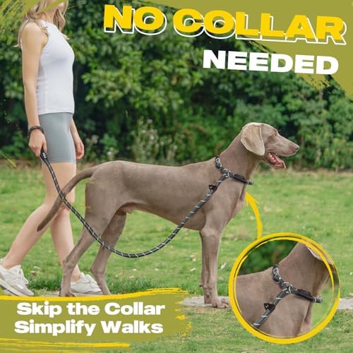 Fida Durable Slip Lead Dog Leash, 6 FT x 1/2" Heavy Duty Dog Loop Leashes, Comfortable Strong Rope Slip Leash for Large Medium Dogs, No Pull Pet Training Lead with Highly Reflective(1/2", Black)