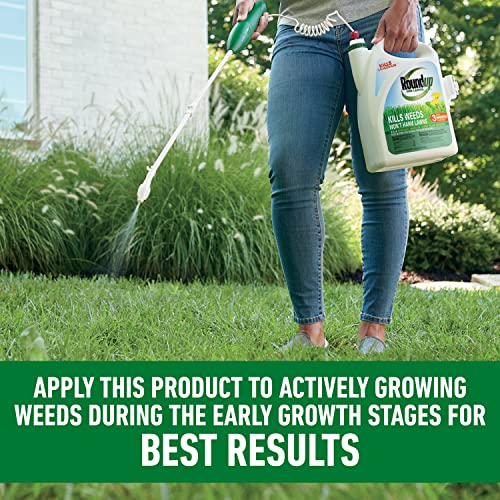 Roundup for Lawns₁ Ready-to-Use with Extend Wand, Tough Weed Killer for Use on Northern Grasses, 1.33 gal.