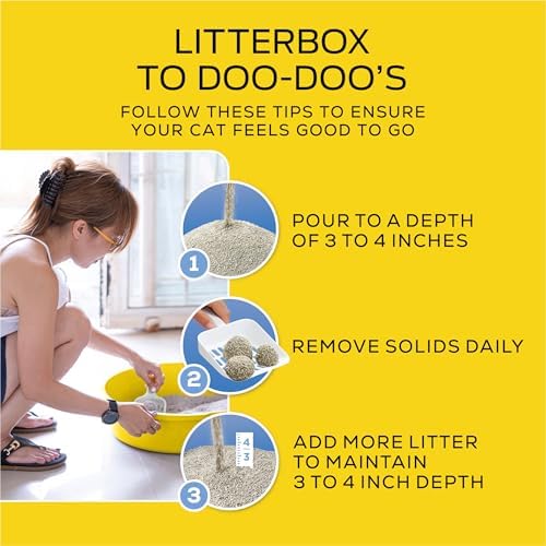 Purina Tidy Cats LightWeight 24/7 Performance Odor control, Multi-Cat, Clumping, 99.9 Percent Dust Free Cat Litter - 17 lb. Box