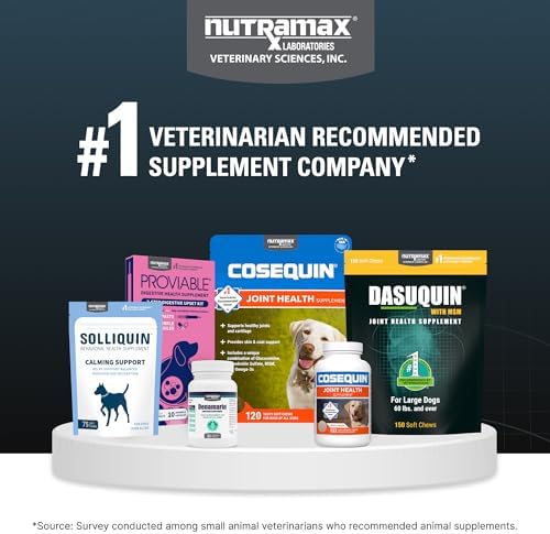 Nutramax Laboratories Dasuquin with MSM Soft Chews, Large Dog, 150 Count, brown