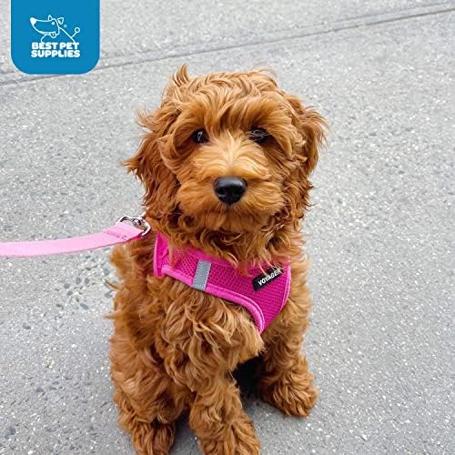Best Pet Supplies Voyager Step-in Air Dog Harness - All Weather Mesh, Reflective, No Pull Harness for Small, Medium Dogs, Cats - Secure with Hook & Loop Fastener, Buckle, Double D-Rings - Fuchsia, M