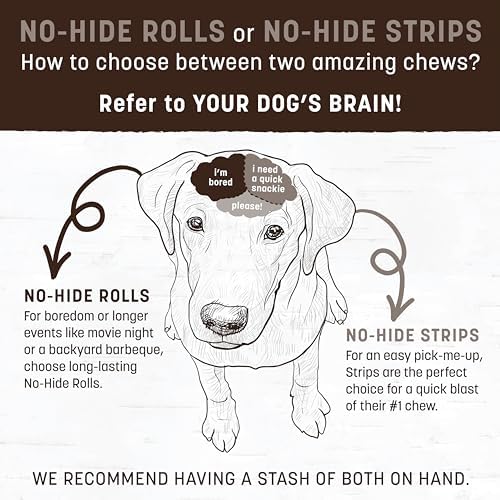 Earth Animal No Hide Small Long Lasting Dog Chew Rolls, Chicken, 7.2 Oz