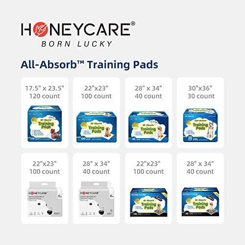 HONEY CARE All-Absorb Disposable Female Dog Diapers M Size, Improved Bigger Size, 36 Count, Super Absorbent, Breathable, Wetness Indicator (Pack of 1, 36 Count Total)