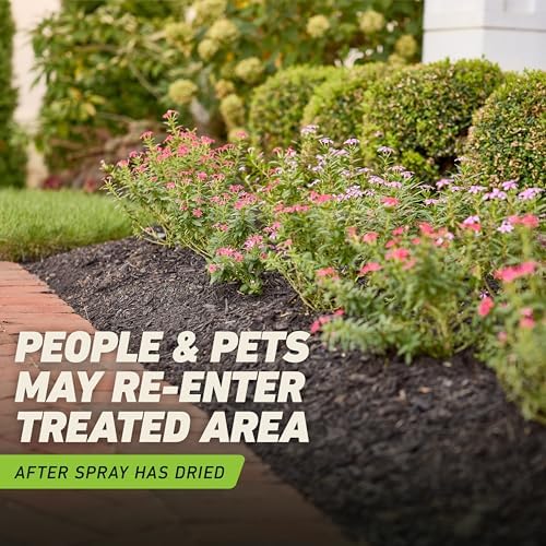 Ortho GroundClear Weed and Grass Killer with Comfort Wand, Kills Dandelions, Chickweed, Crabgrass, Moss and More in Patios and Landscapes, OMRI Listed, 1 gal.