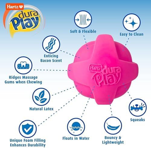 Hartz DuraPlay Ball Squeaky Latex Dog Toy, Medium 3 Pack