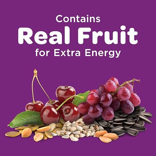 Kaytee Nut & Fruit Wild Bird Seed, 5 lb
