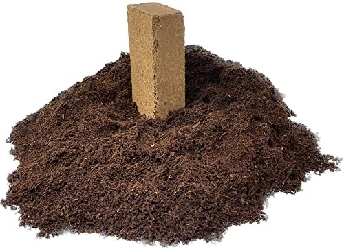 Seed Needs, Culinary Herb Seed Packet Collection Seed Starting Bundle (Includes 12 Individual Seed Packets, 36 Starter Pots & 1 Expandable Coco Coir Brick) Heirloom, Non-GMO, Untreated