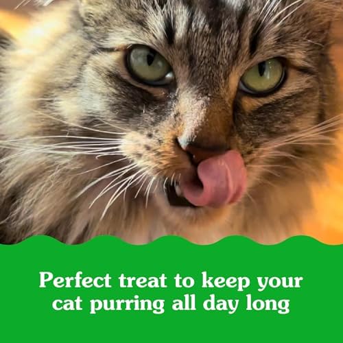 Greenies Feline Smartbites Skin & Fur Health Crunchy and Soft Cat Treats, Salmon Flavor, 16 oz. Tub
