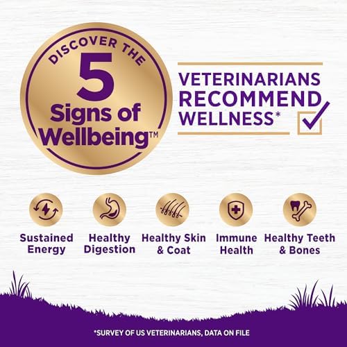 Wellness Complete Health Dry Dog Food with Grains, Made in USA with Real Meat & Natural Ingredients, All Breeds, Adult Dogs (Chicken & Oatmeal, 30-lb) – With Nutrients for Immune, Skin, & Coat Support