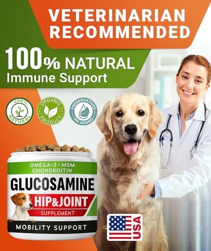Glucosamine Treats for Dogs - Joint Supplement w/Omega-3 Fish Oil - Chondroitin, MSM - Advanced Mobility Chews - Joint Pain Relief - Hip & Joint Care - Chicken Flavor - 120 Ct - Made in USA