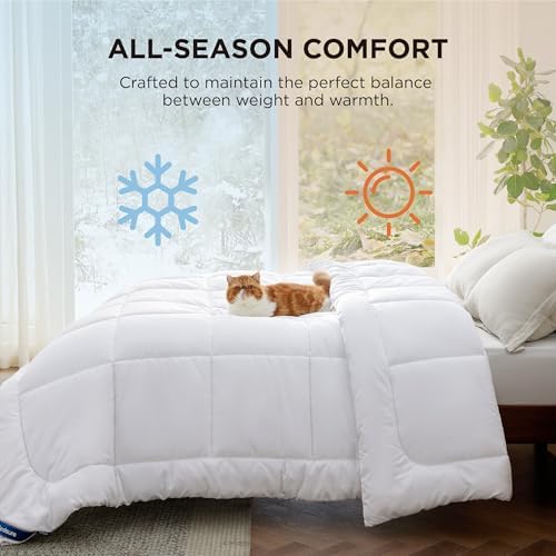 Bedsure Comforter Duvet Insert - Quilted Comforters Queen Size, All Season Duvet, Down Alternative Bedding, with 8 Tabs, Gifts for Women/Men, White, Queen 88 x 88 Inches